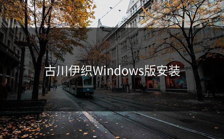 古川伊织Windows版安装