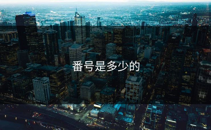 番号是多少的