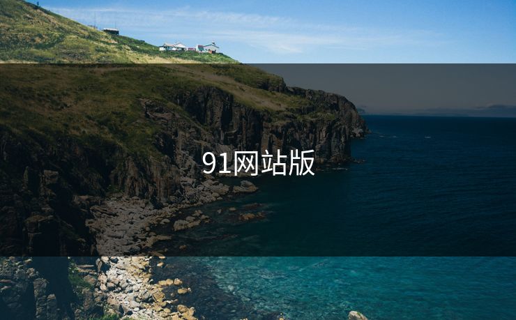 91网站版