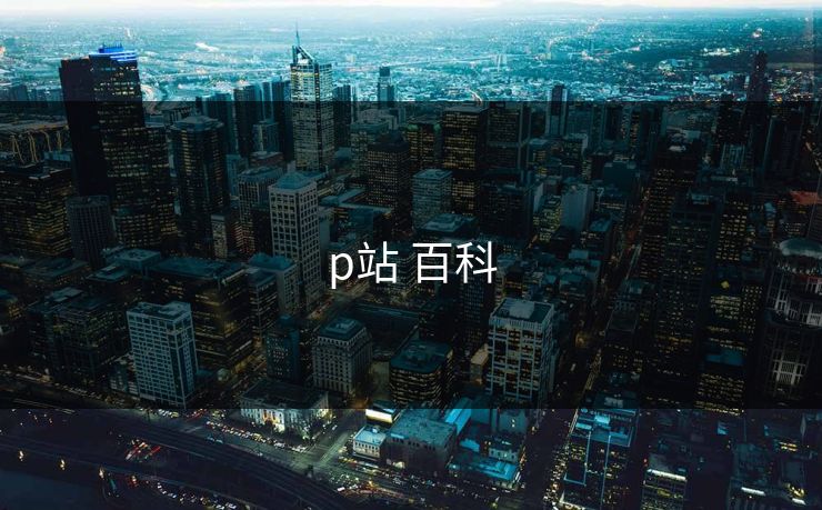 p站 百科