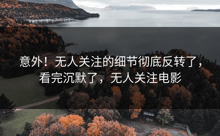 意外！无人关注的细节彻底反转了，看完沉默了，无人关注电影