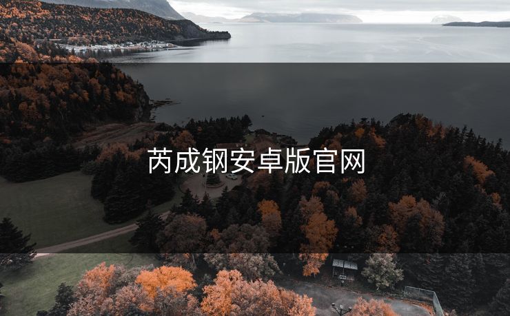 芮成钢安卓版官网