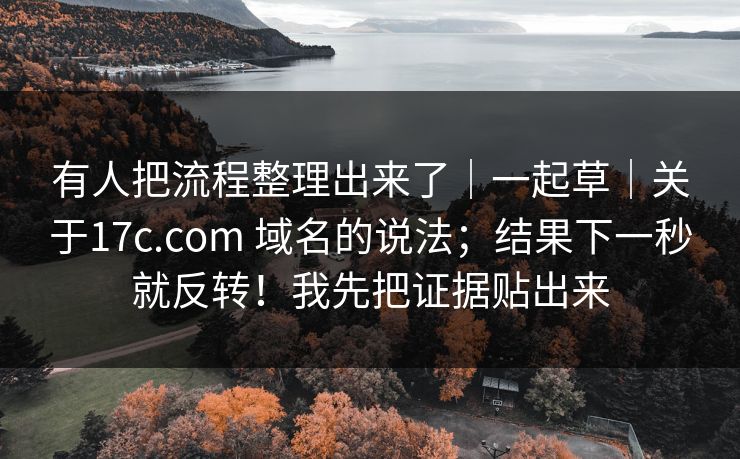 有人把流程整理出来了｜一起草｜关于17c.com 域名的说法；结果下一秒就反转！我先把证据贴出来